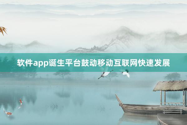 软件app诞生平台鼓动移动互联网快速发展