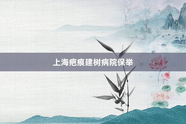 上海疤痕建树病院保举