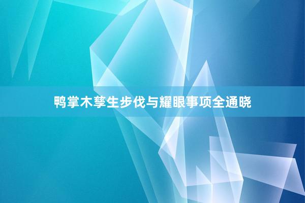 鸭掌木孳生步伐与耀眼事项全通晓