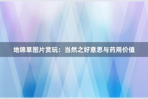 地锦草图片赏玩：当然之好意思与药用价值