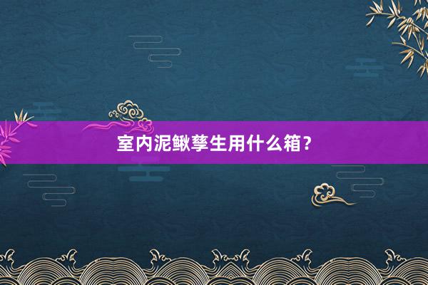 室内泥鳅孳生用什么箱？
